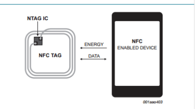 rfid �����